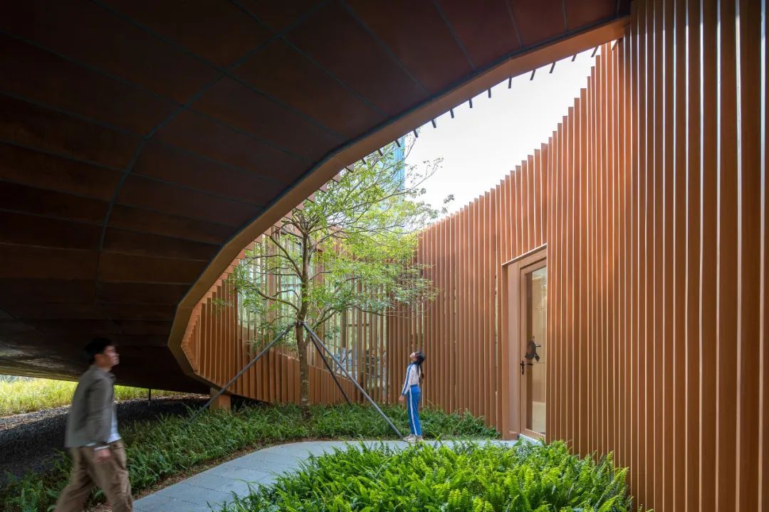 一树建筑工作室 | 环形树屋