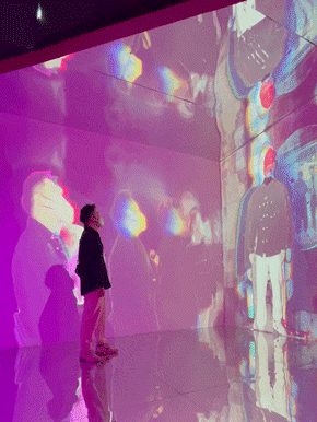 NERVE 若无｜VIPASSANA 见我