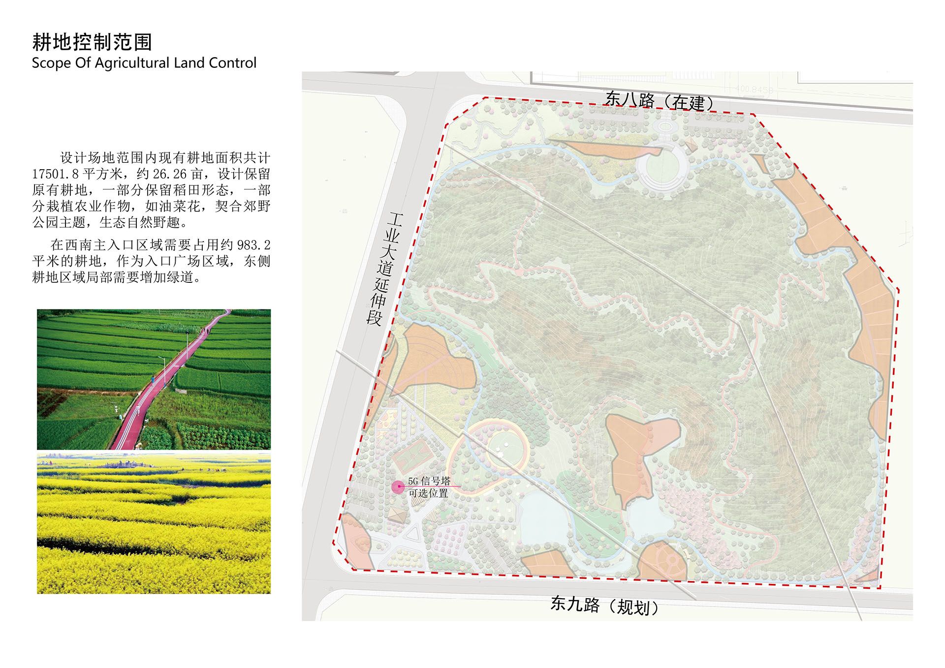 南城县河东工业园文化广场项目——山体郊野公园总体规划