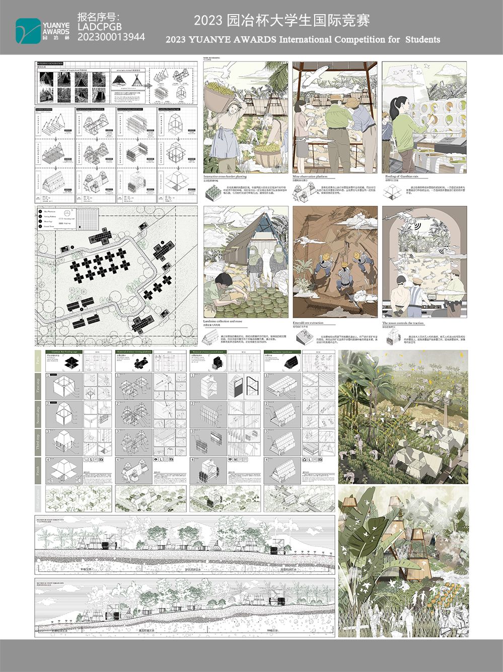跨越边界之间——中越边境战后跨境种植新系统