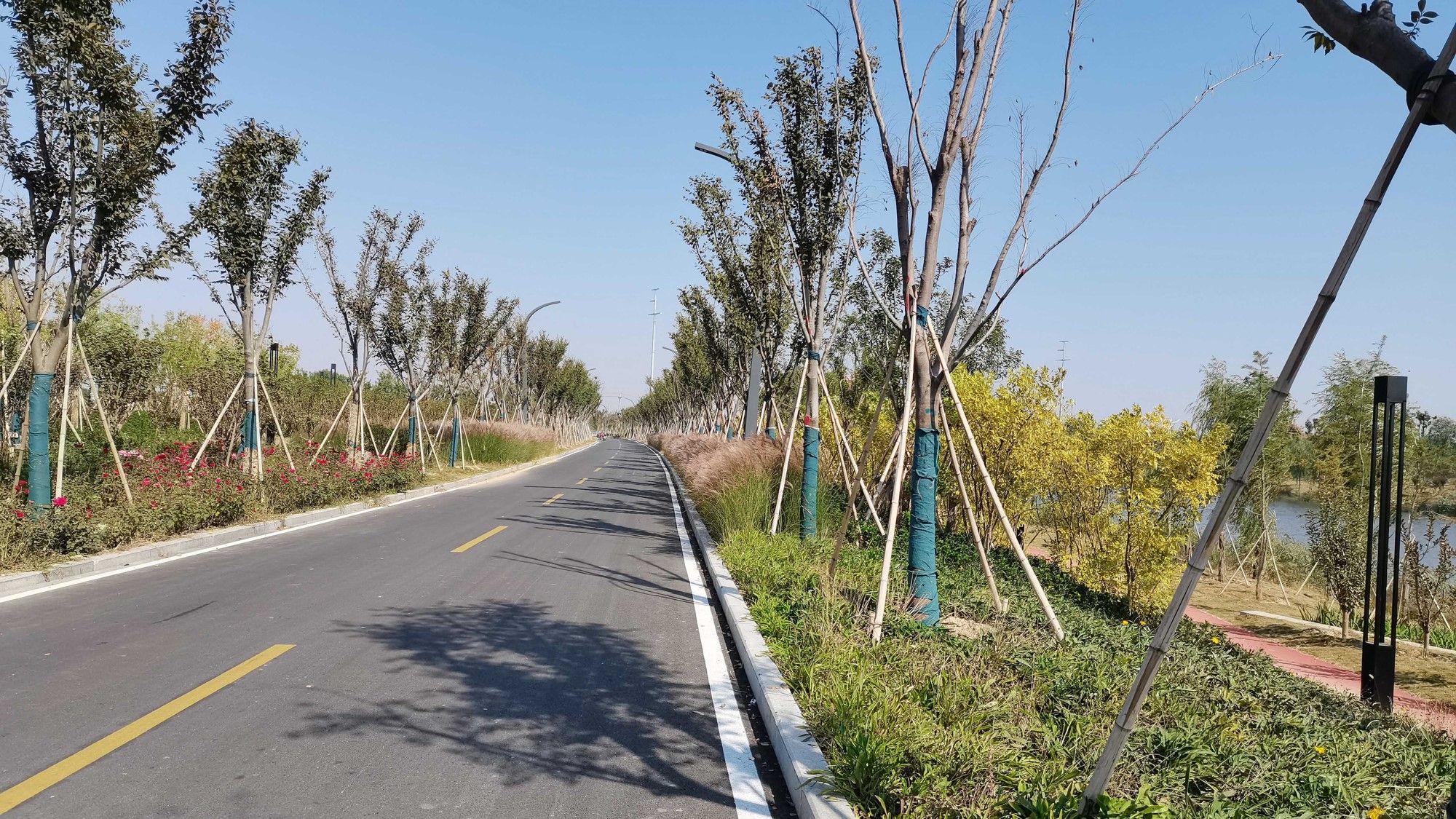金乡县沙河两岸风光带项目
