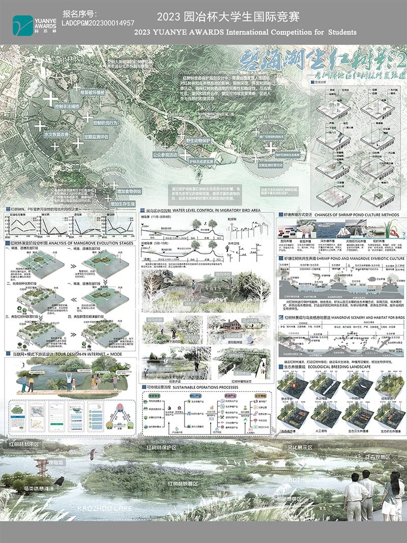 碧海潮生红树影­——考洲洋地区红树林修复改造