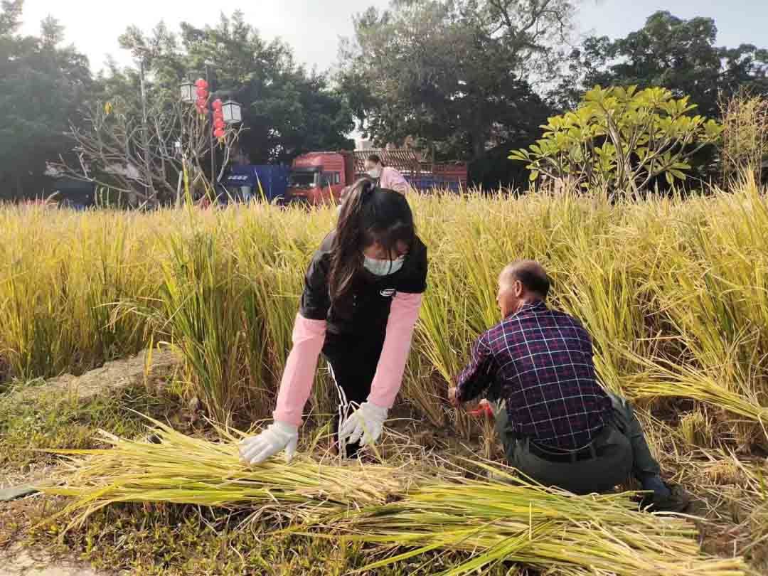 佛山市西樵镇儒溪村入口公园——环境提升工程设计