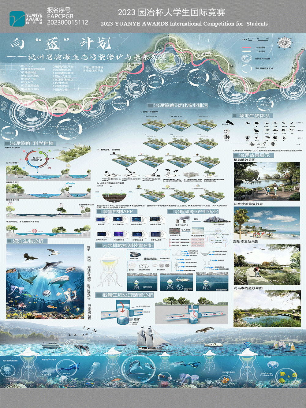 《向“蓝”计划——杭州湾滨海生态污染修护与未来发展》