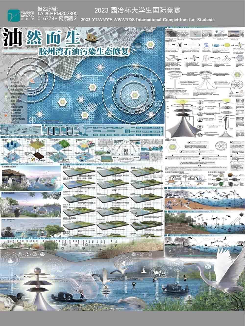 油然而生——胶州湾石油污染生态修复