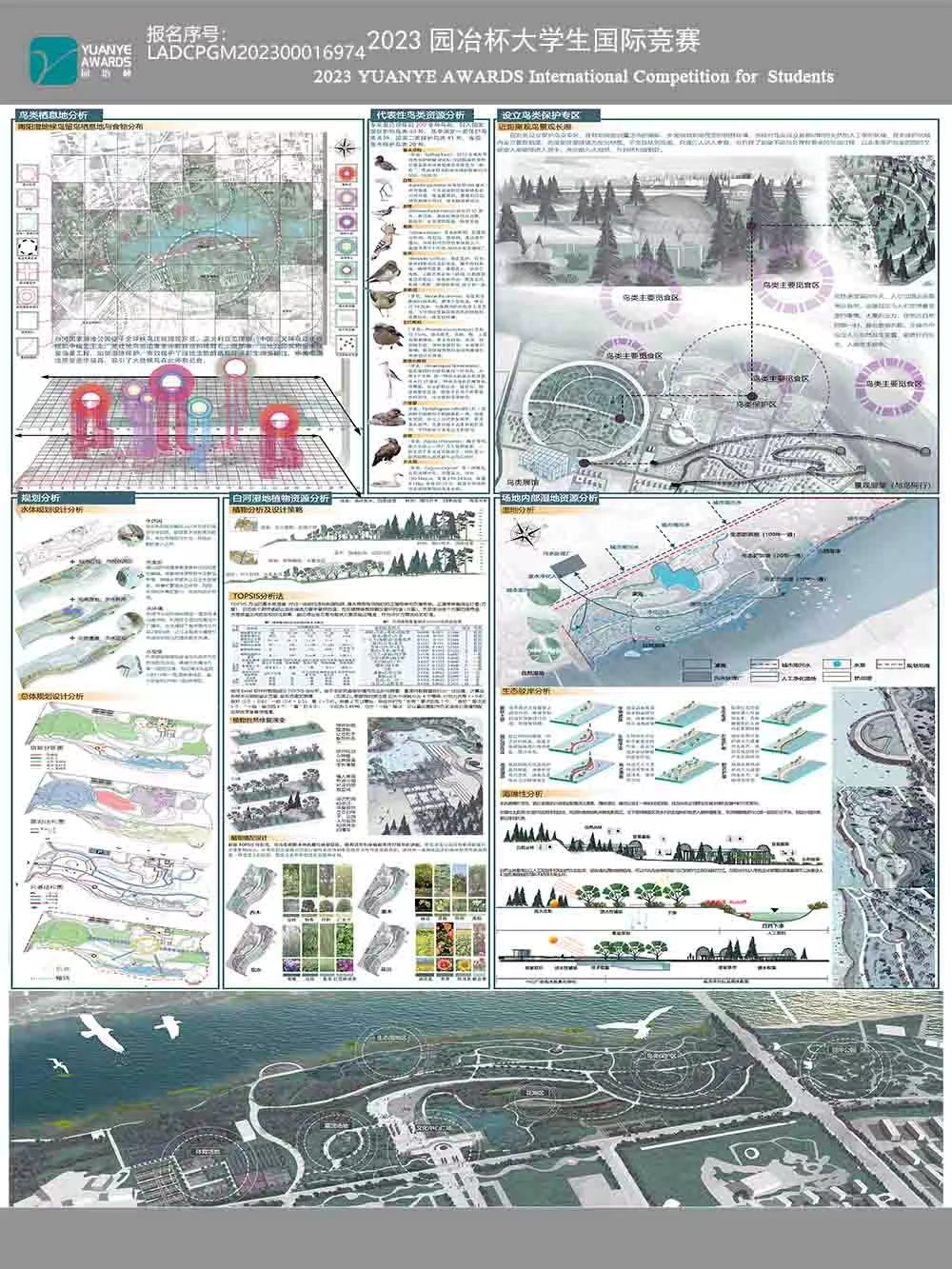 自然画卷––基于近自然融合理念下白河湿地公园生态之旅