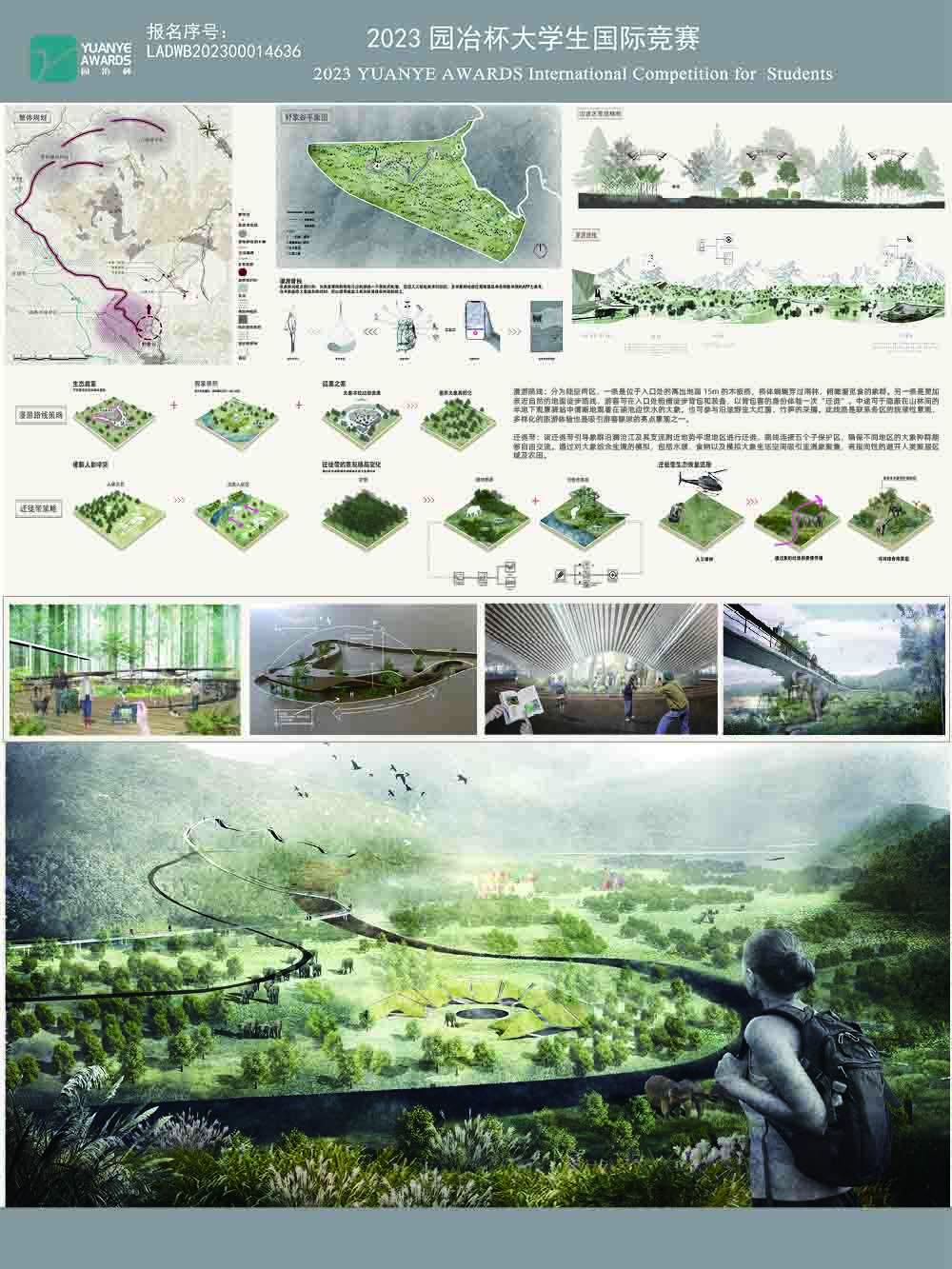 亚洲象漫游指南