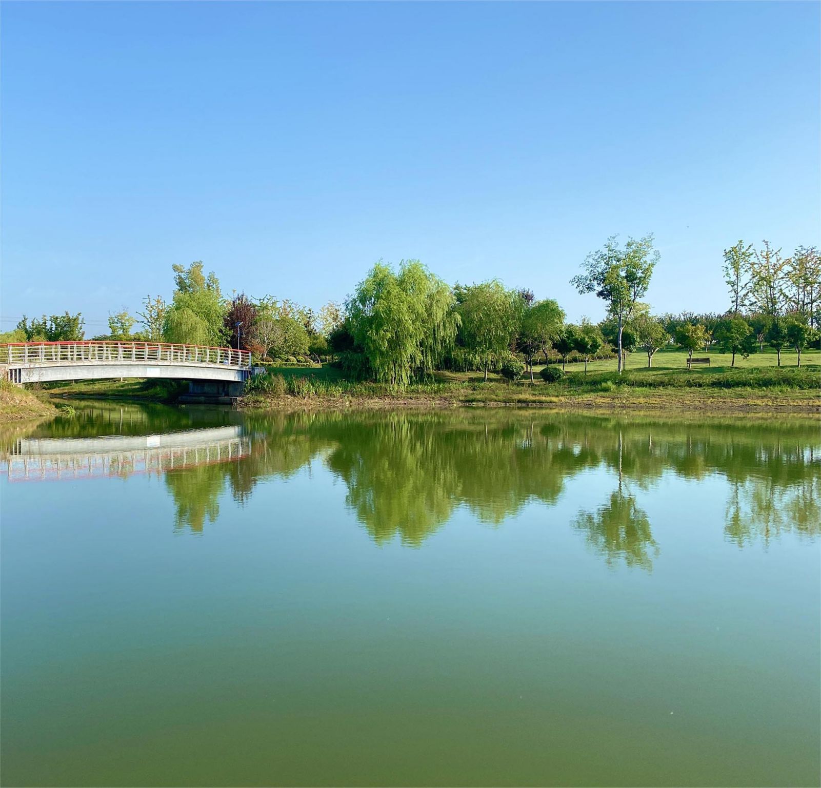 阜南县水系及绿化景观EPC及管养一 体化项目阜地河景观工程