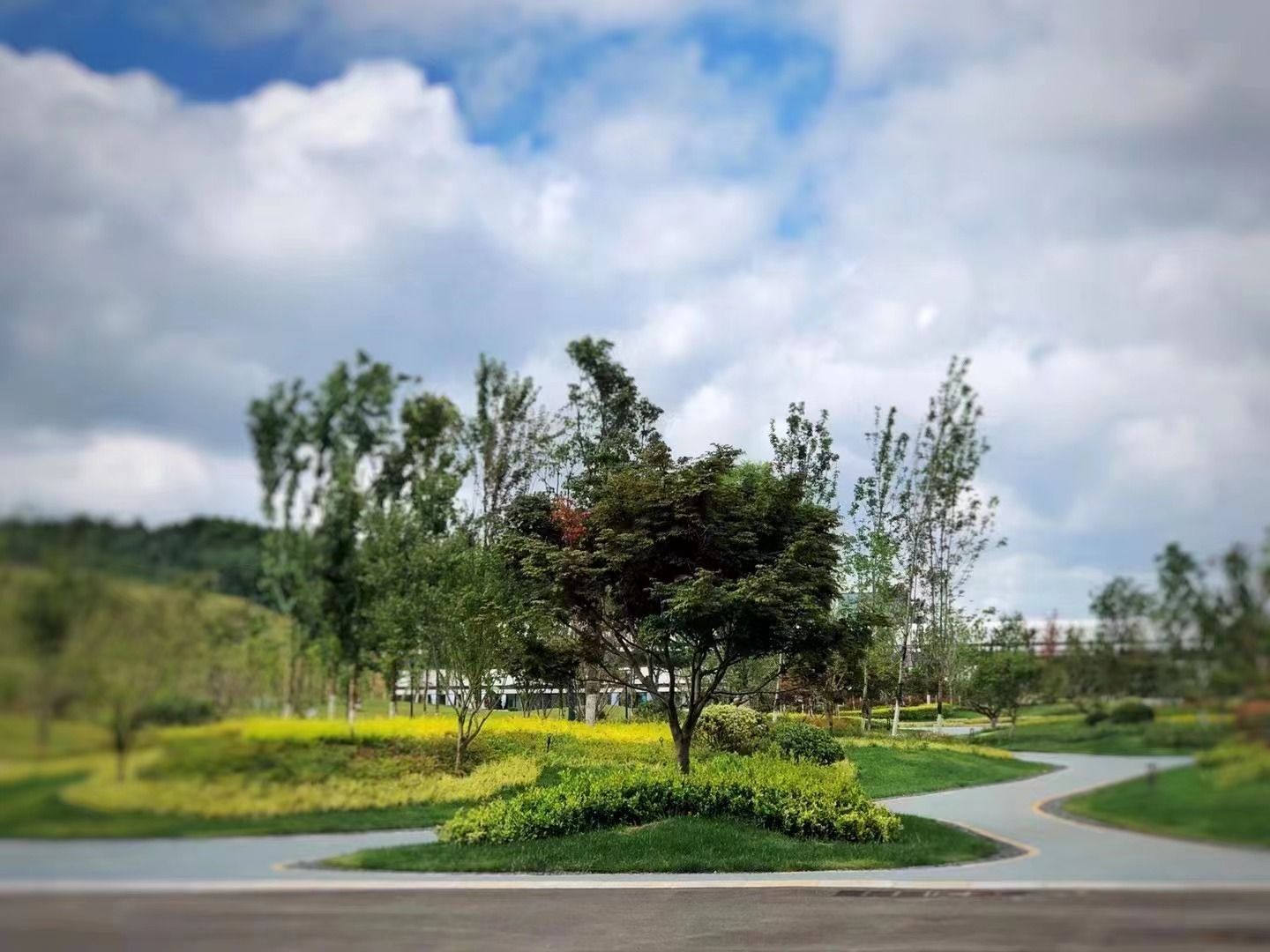 云南通盈药业生物医药产业基地景观设计项目
