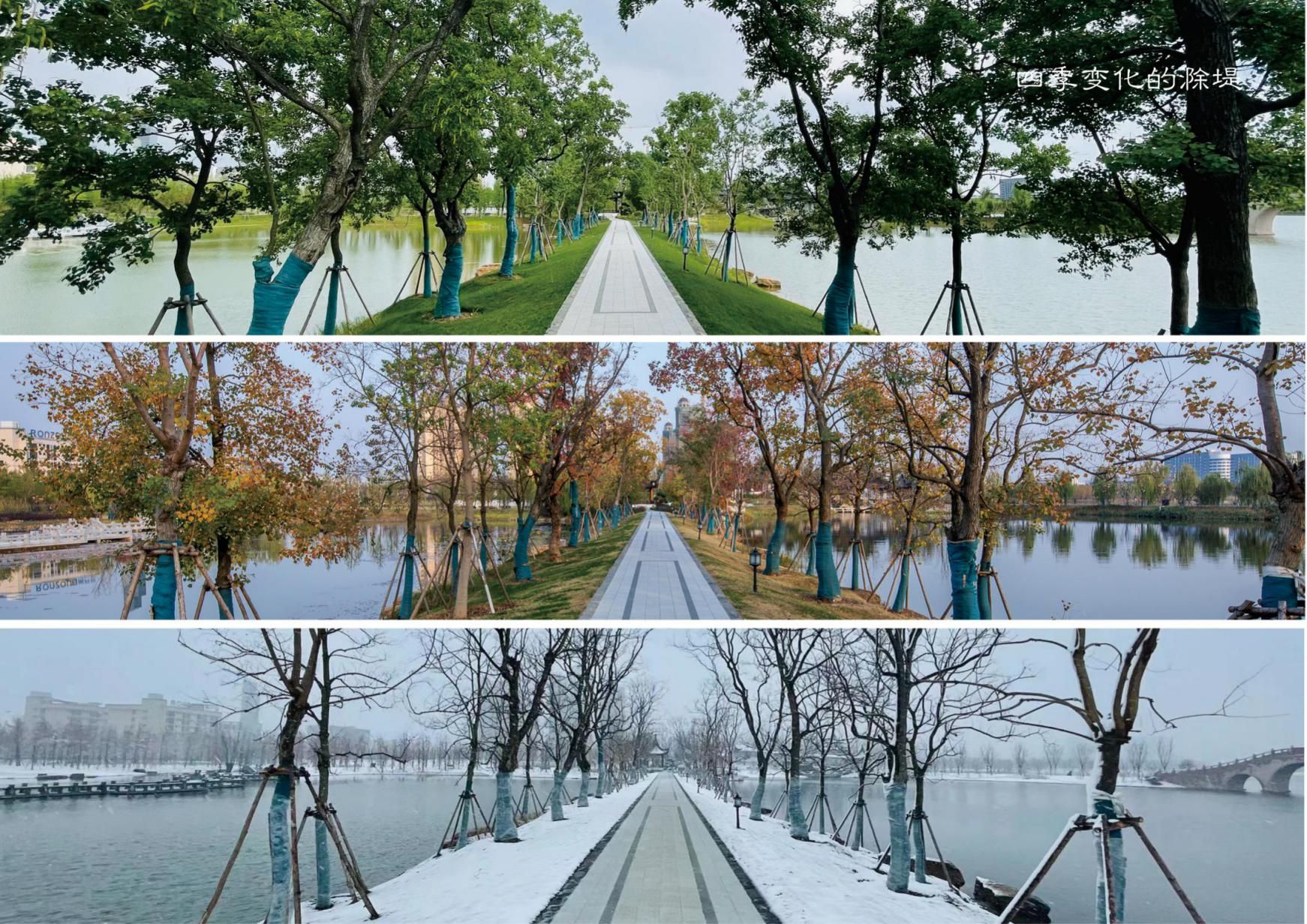 苏滁现代产业园苏州公园(良塘湖)景观绿化设计及银杏公园提升设计
