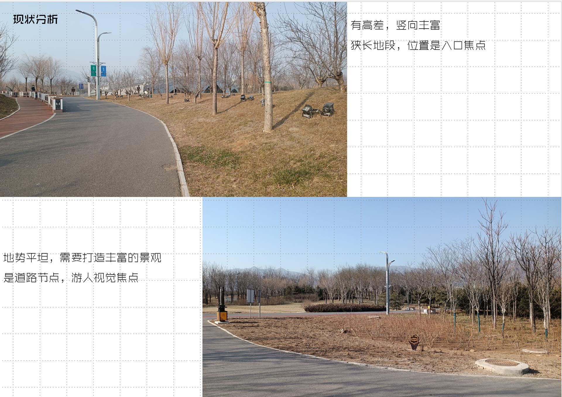 石家庄龙泉湖公园花境设计
