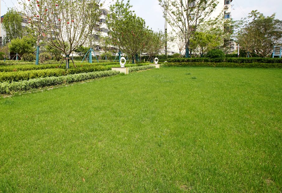 徐州市2018-31号地块建设项目B1地块大区景观工程