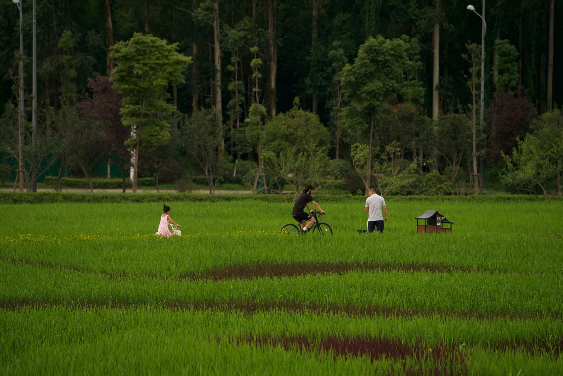 丘山阅·田园文化村