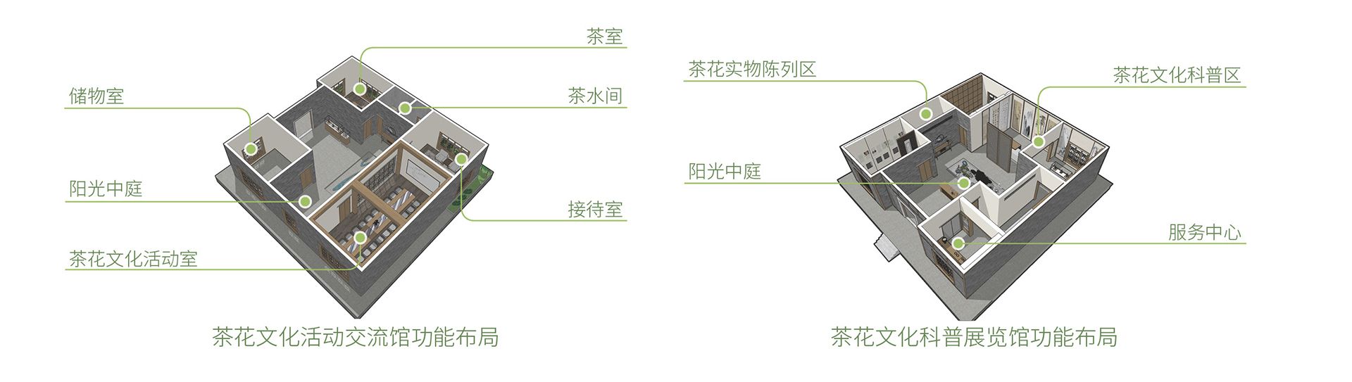 广州增城区山茶属植物主题公园