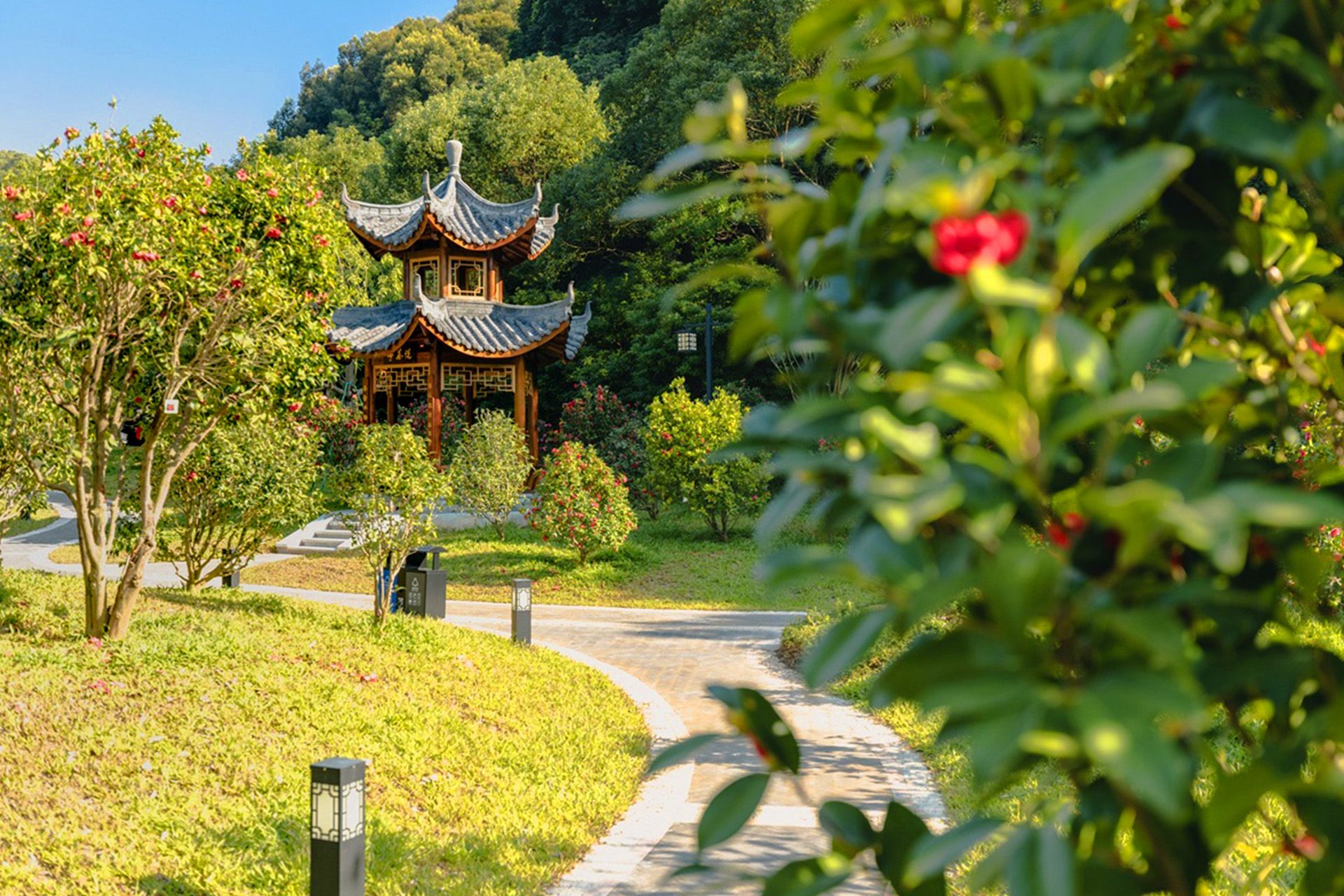 广州增城区山茶属植物主题公园