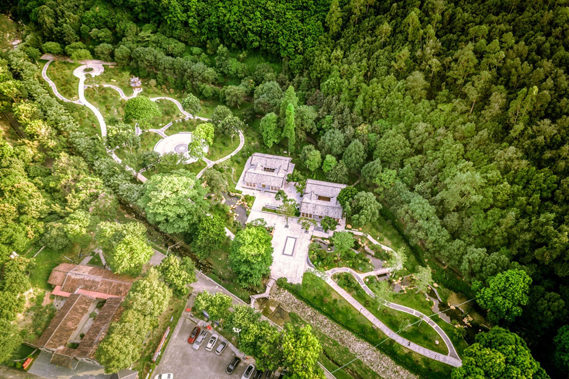 广州增城区山茶属植物主题公园