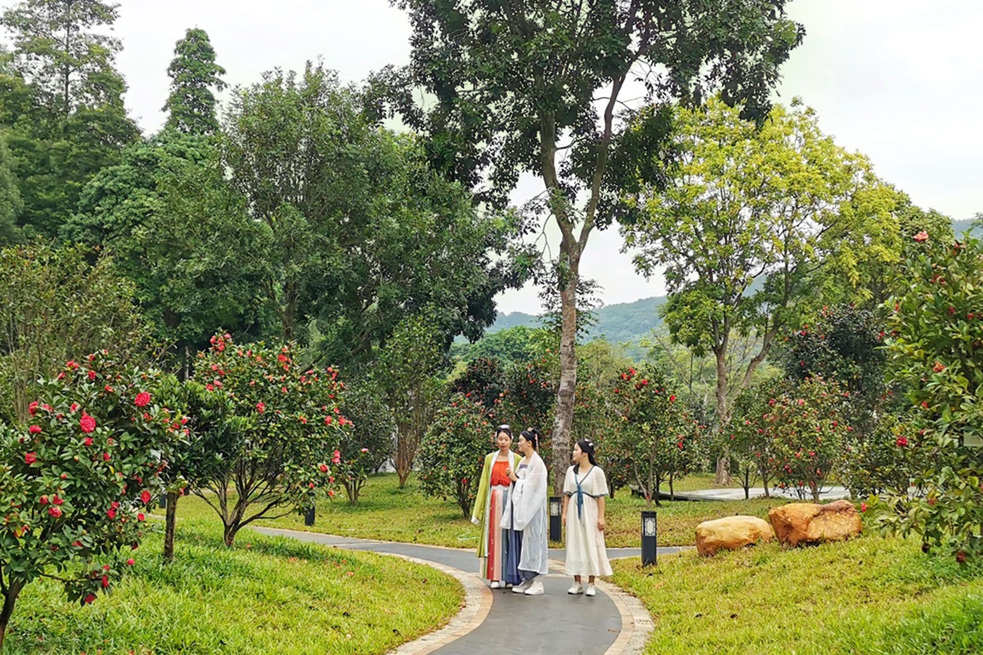 广州增城区山茶属植物主题公园
