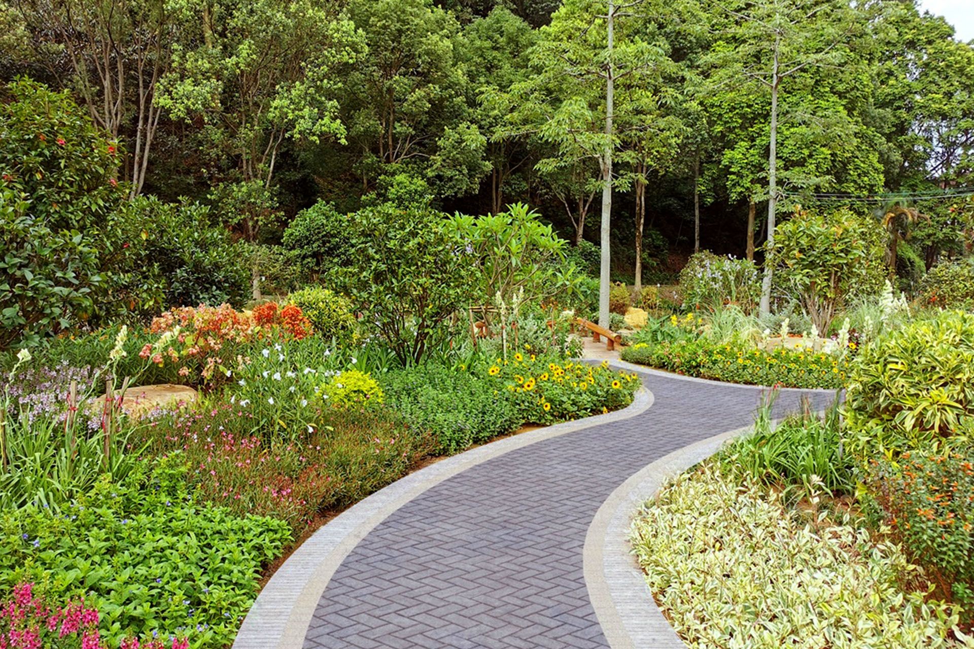 广州增城区山茶属植物主题公园