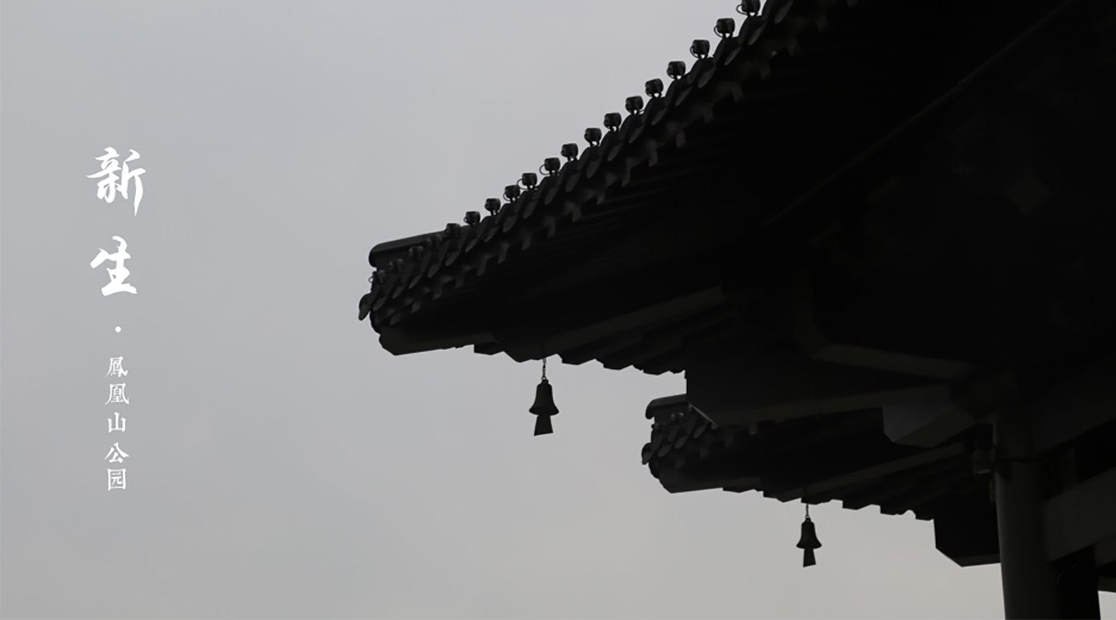 南京市浦口区凤凰山公园改造