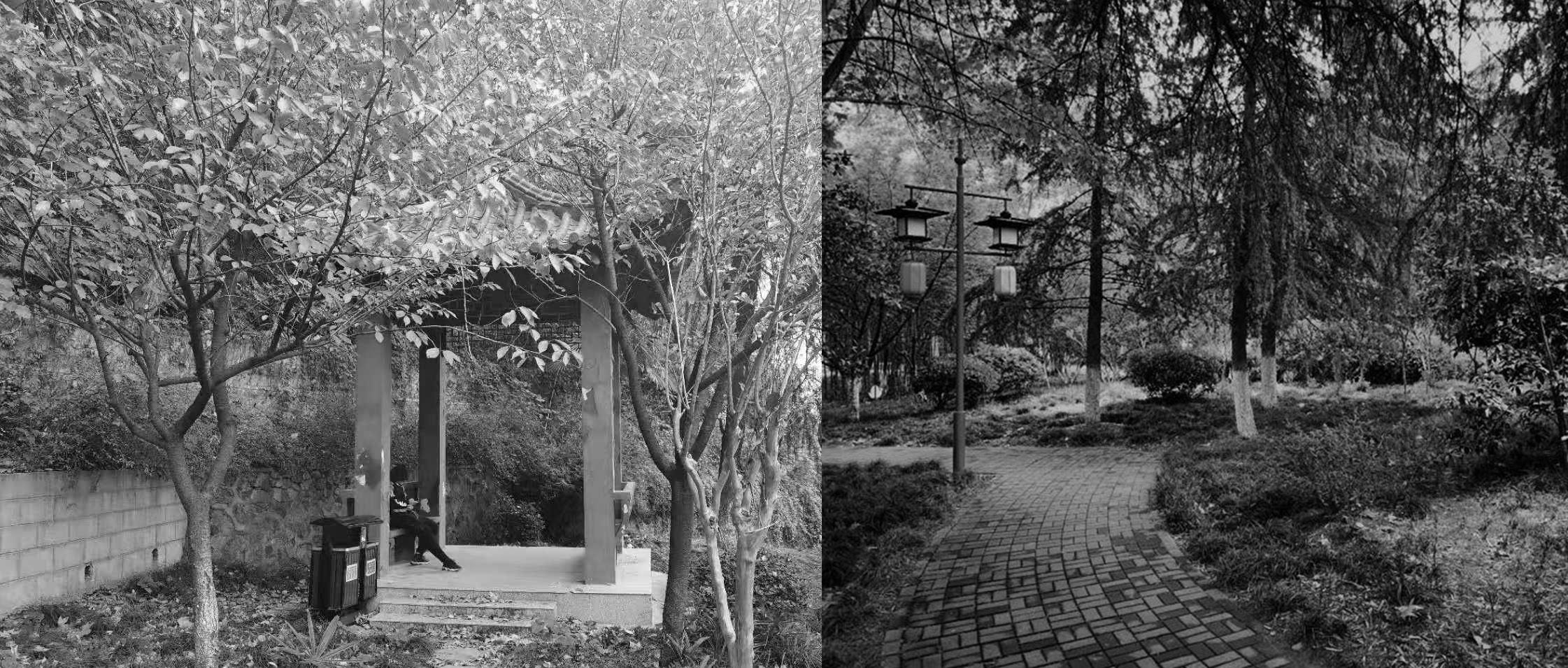 南京市浦口区凤凰山公园改造