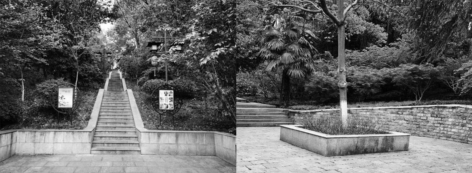 南京市浦口区凤凰山公园改造