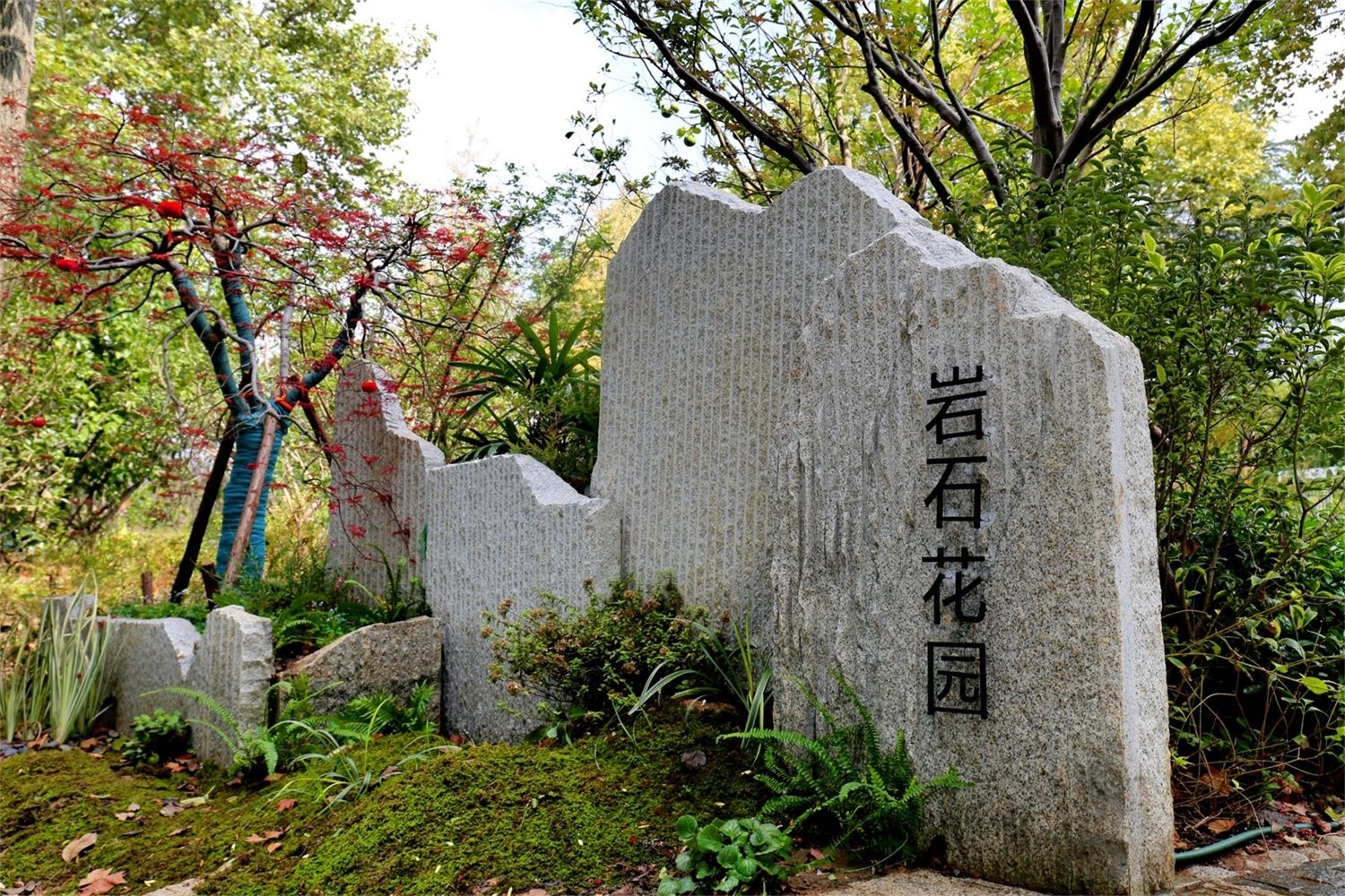 南京市浦口区凤凰山公园改造