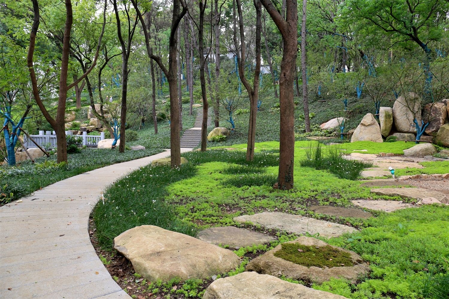 南京市浦口区凤凰山公园改造
