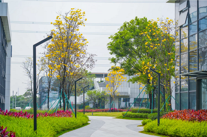 中堂天安智能制造项目（一期）1号地景观工程