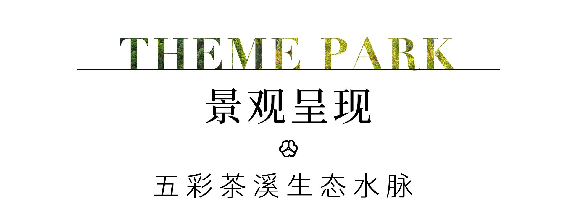 广州增城区山茶属植物主题公园