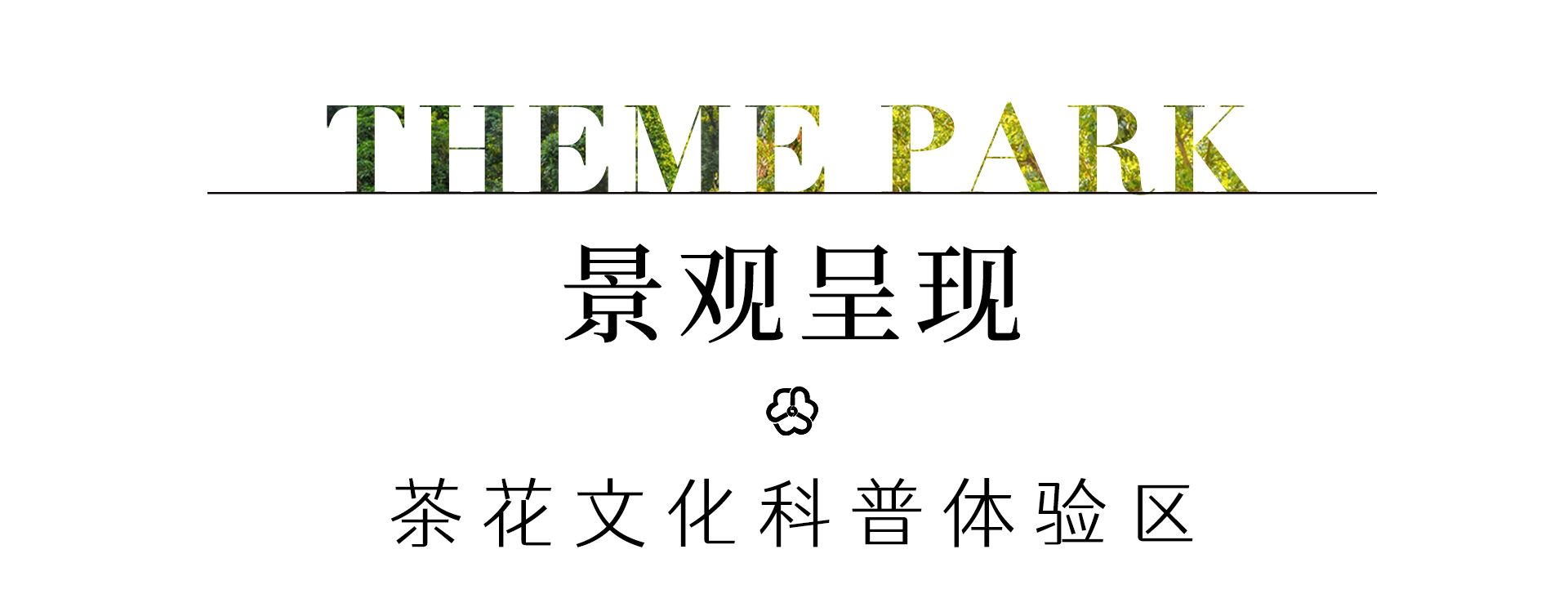 广州增城区山茶属植物主题公园