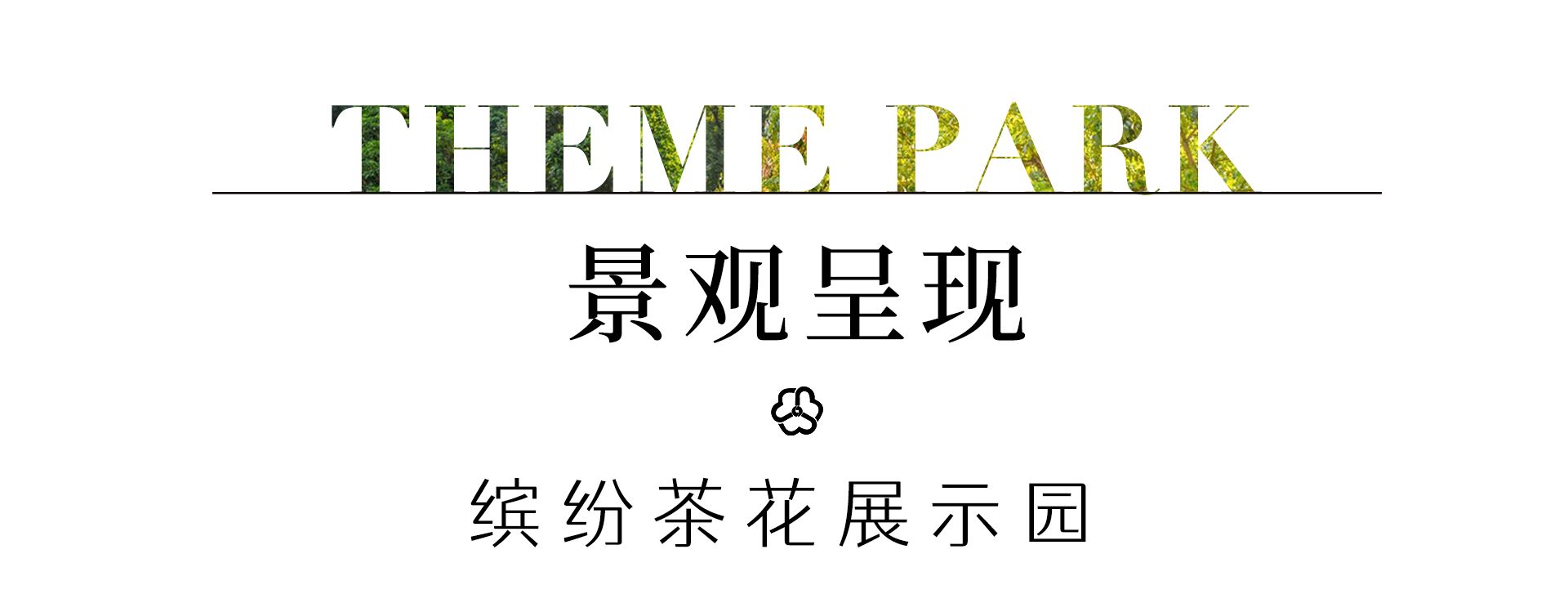 广州增城区山茶属植物主题公园