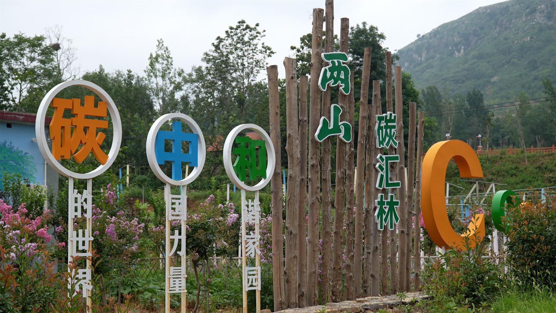 蒙阴县垛庄镇衔接乡村振兴集中推进区