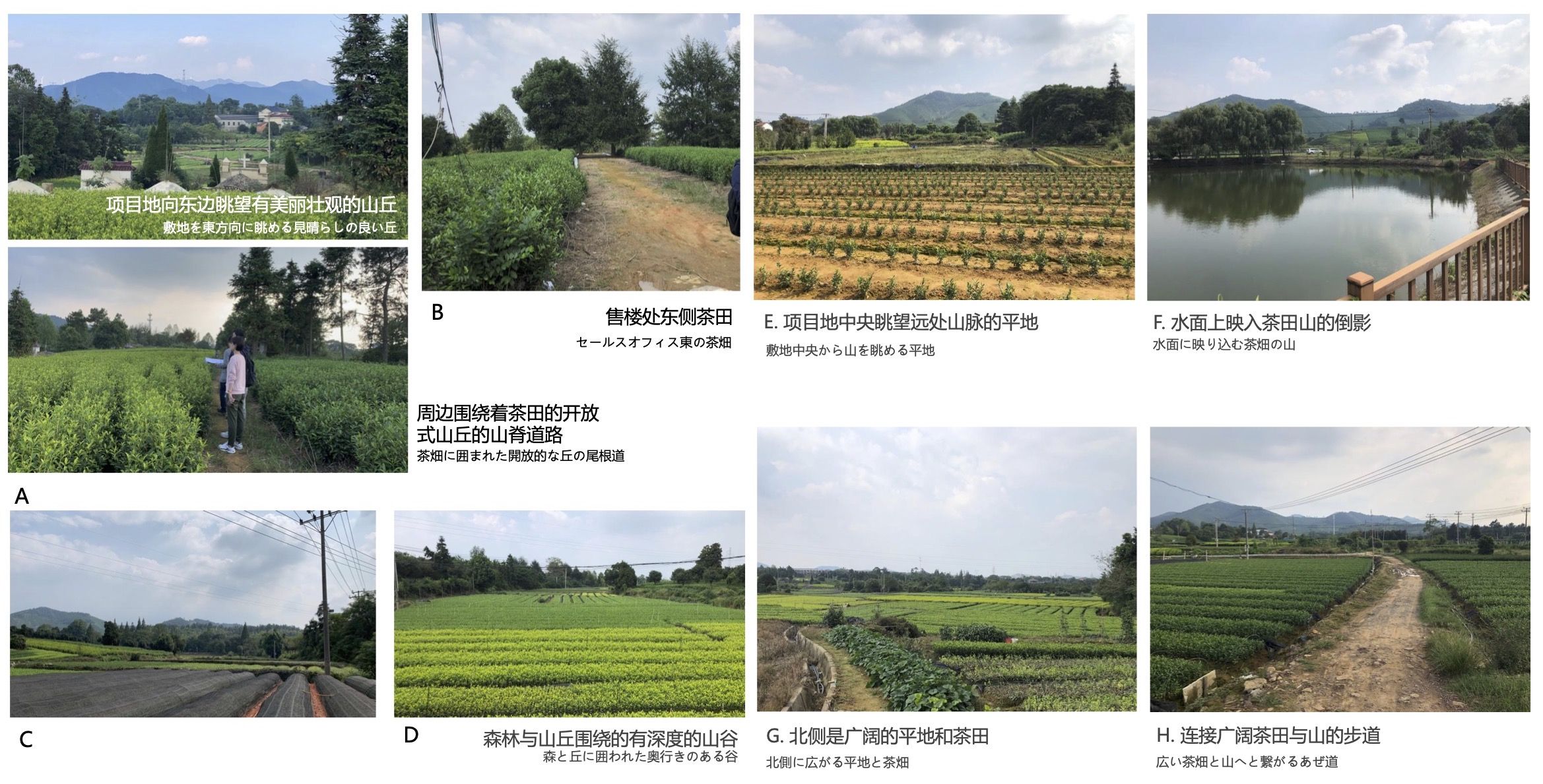 安吉创意设计中心