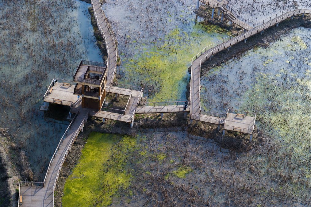 通山县2019-2020年美丽乡村示范村建设项目
