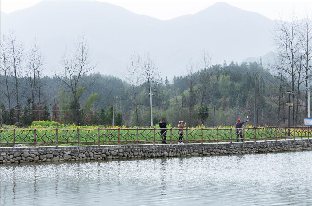通山县2019-2020年美丽乡村示范村建设项目