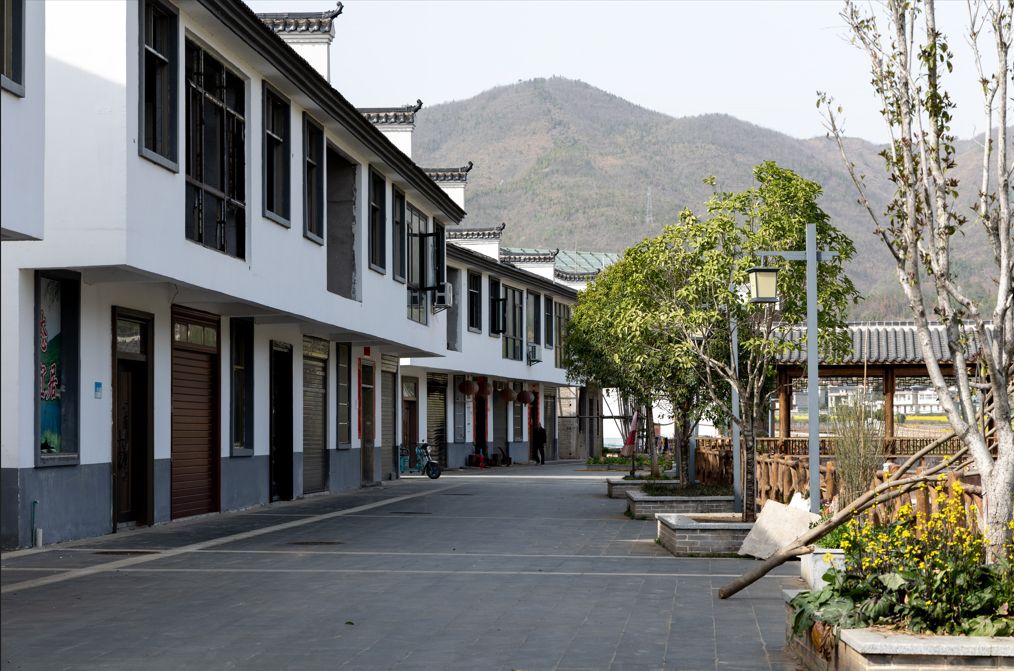 通山县2019-2020年美丽乡村示范村建设项目