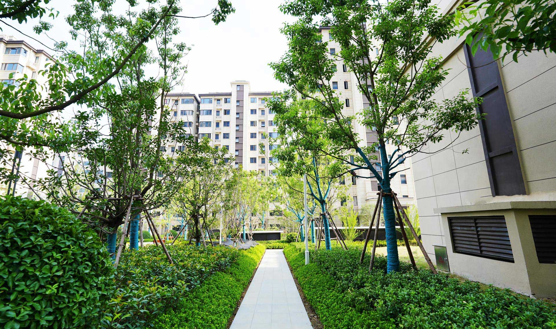 长丰宸悦项目南地块景观工程