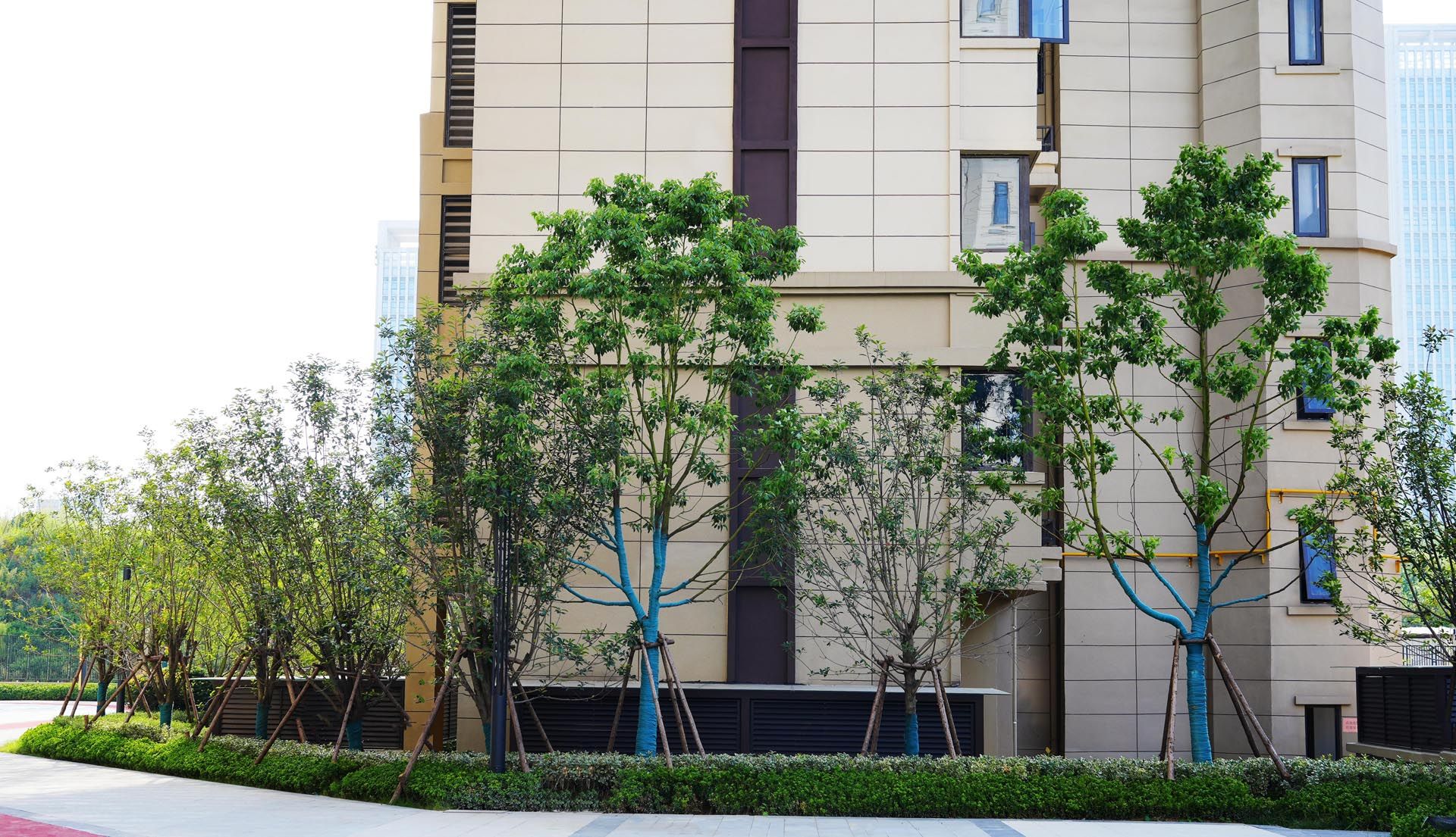 长丰宸悦项目南地块景观工程