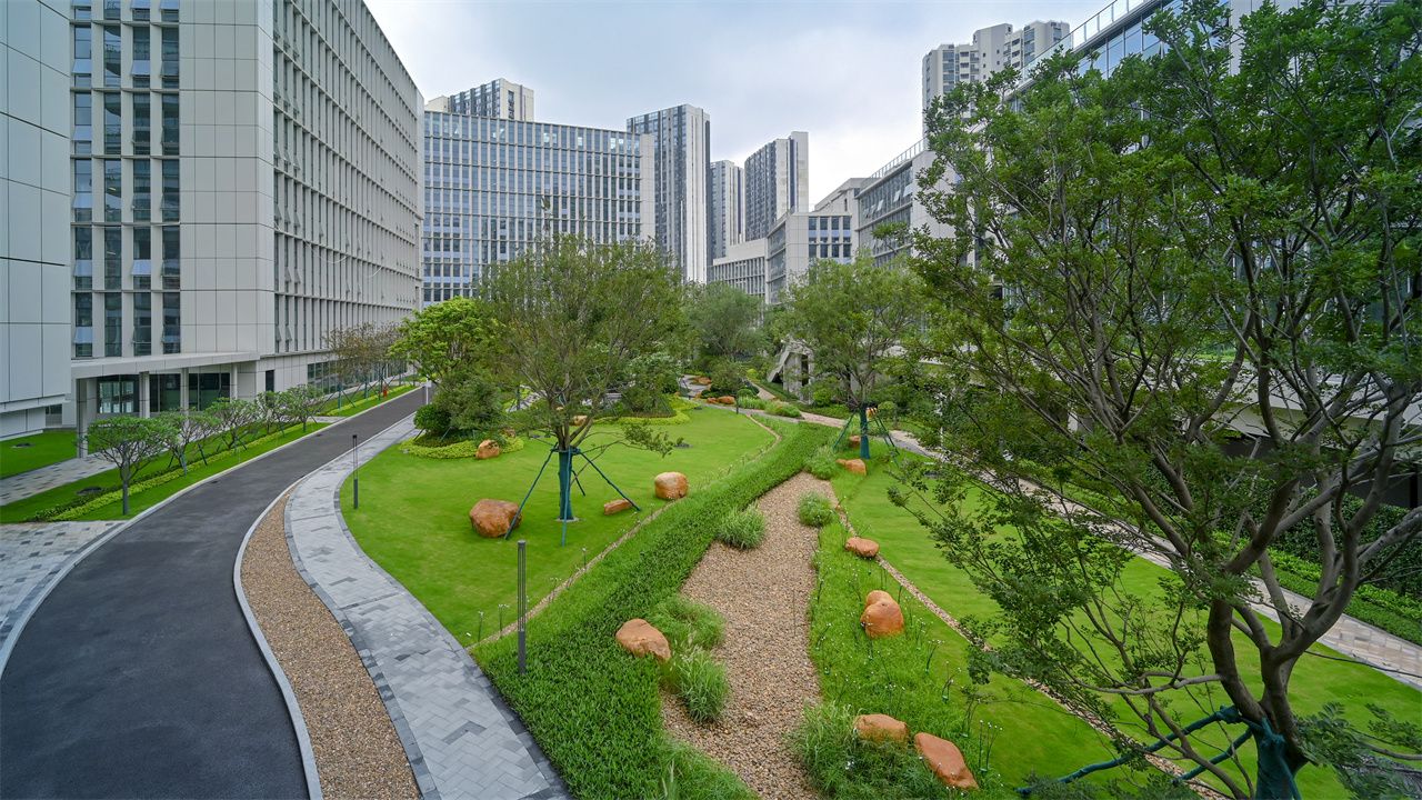 中新广州知识城中新智慧园