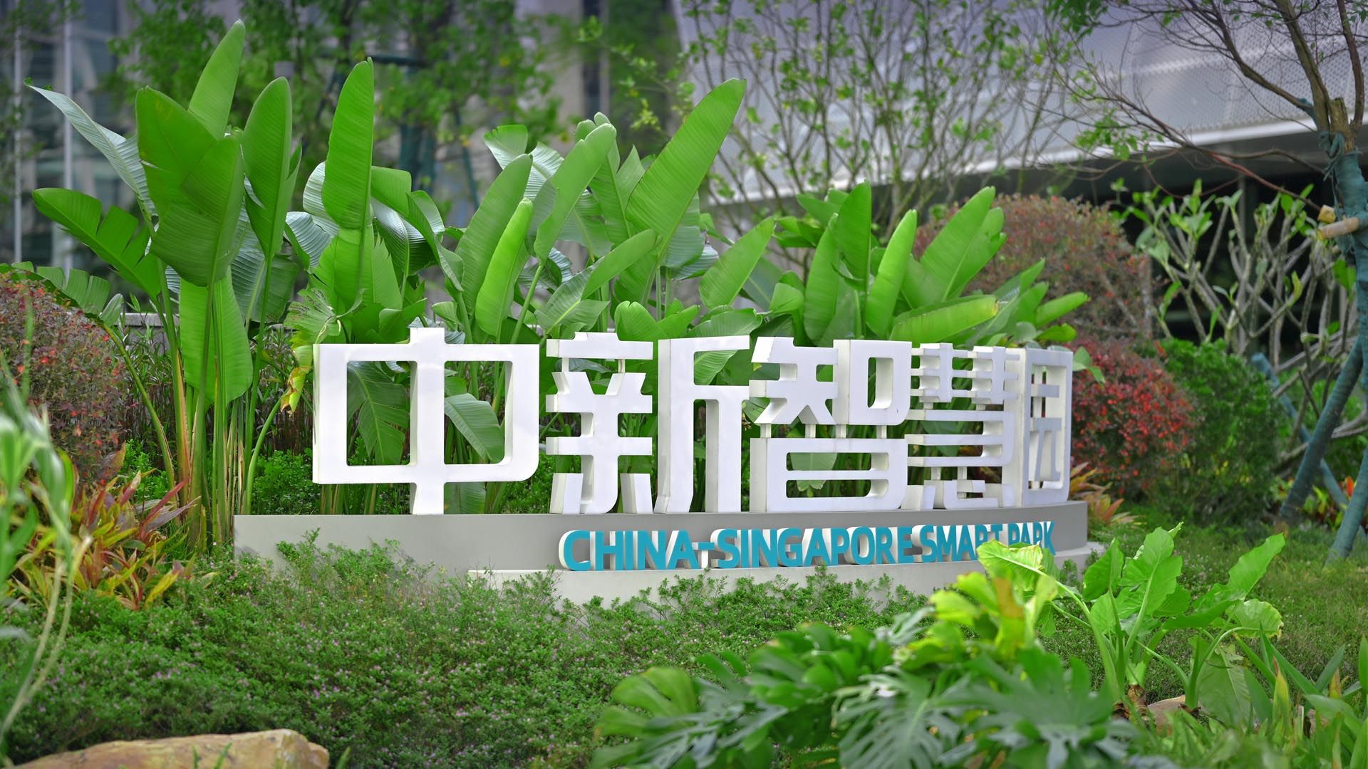 中新广州知识城中新智慧园