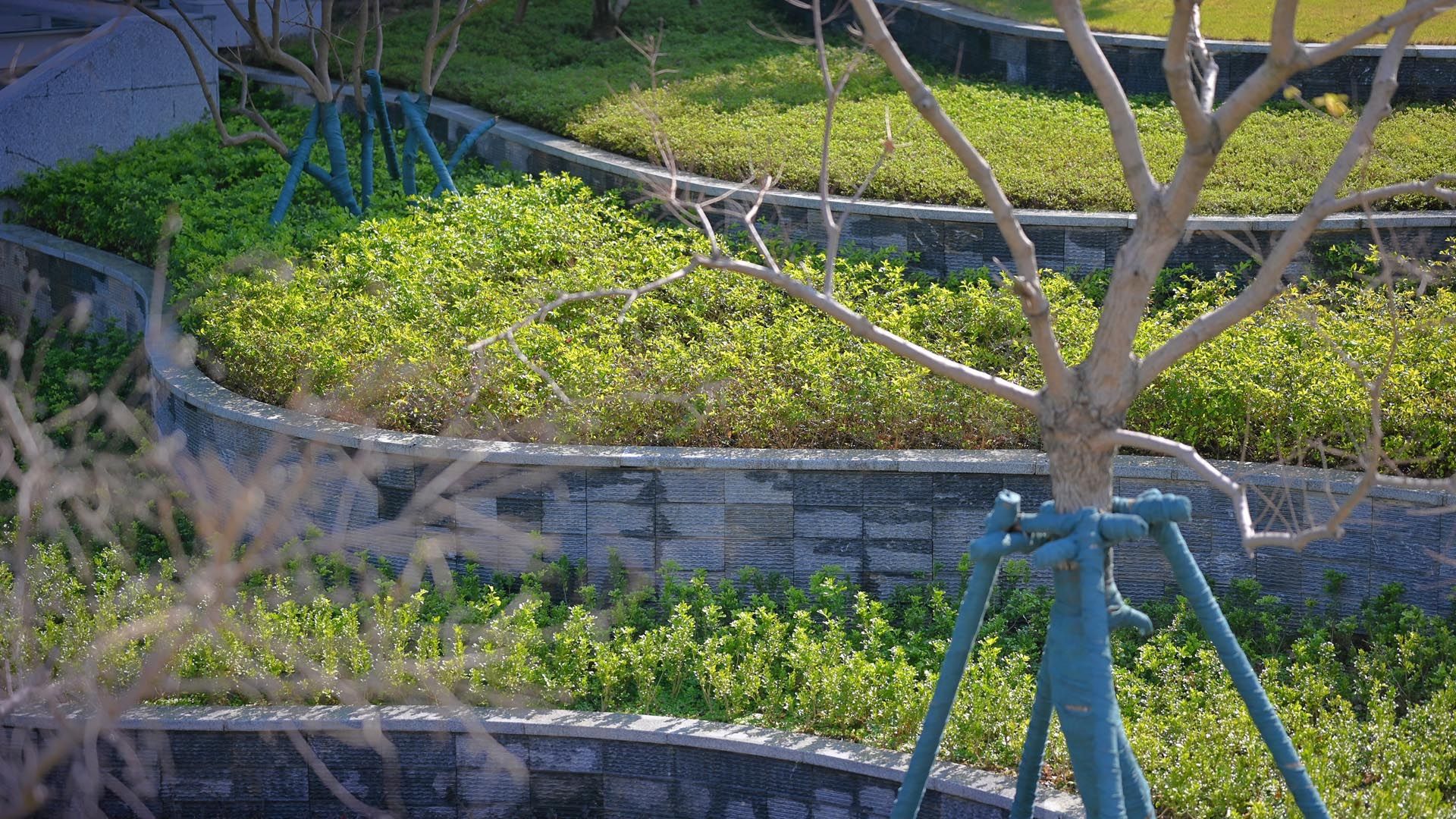 中新广州知识城中新智慧园