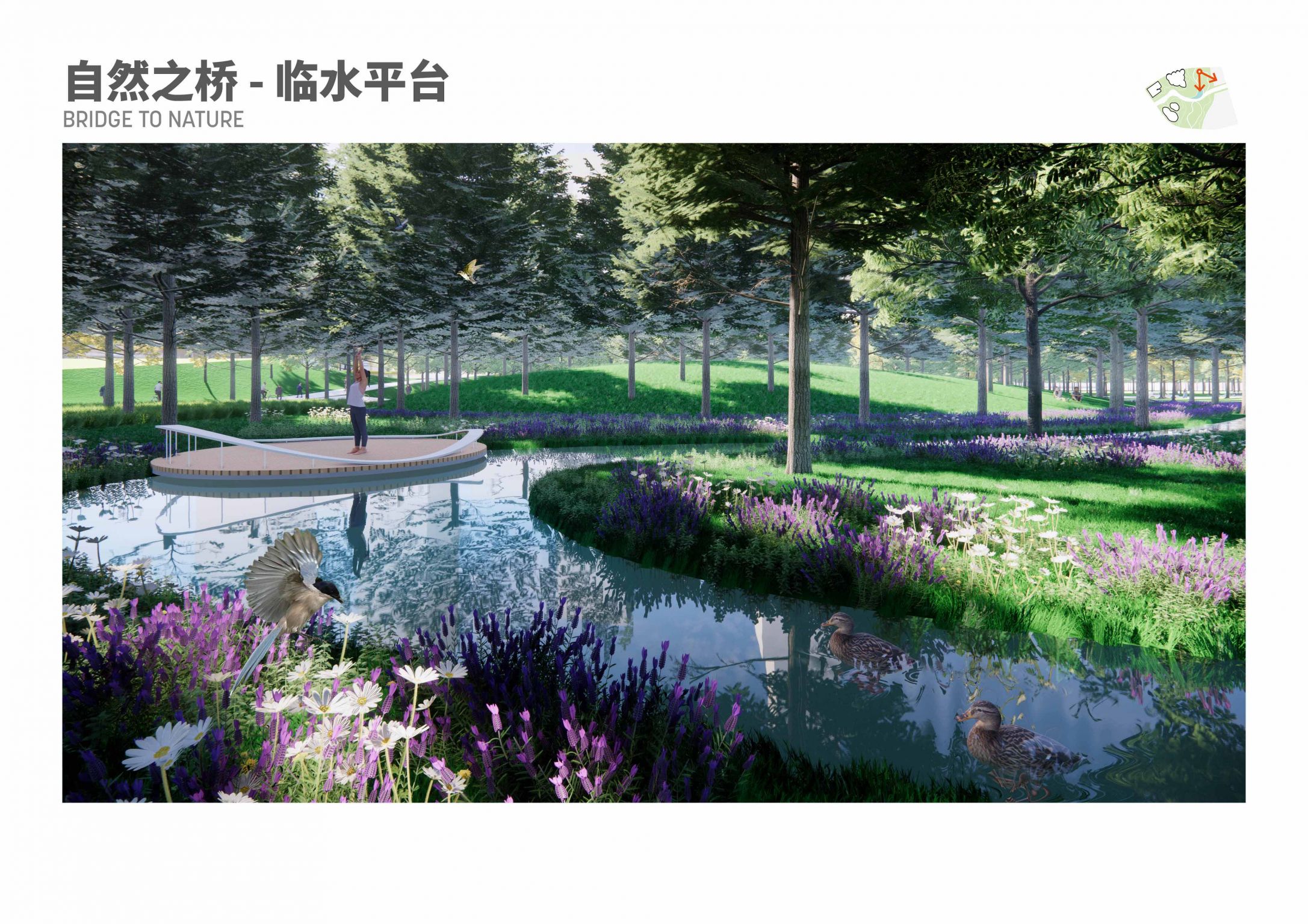 金桥之森，遇见你我 - 金桥副中心中央公园综合体方案