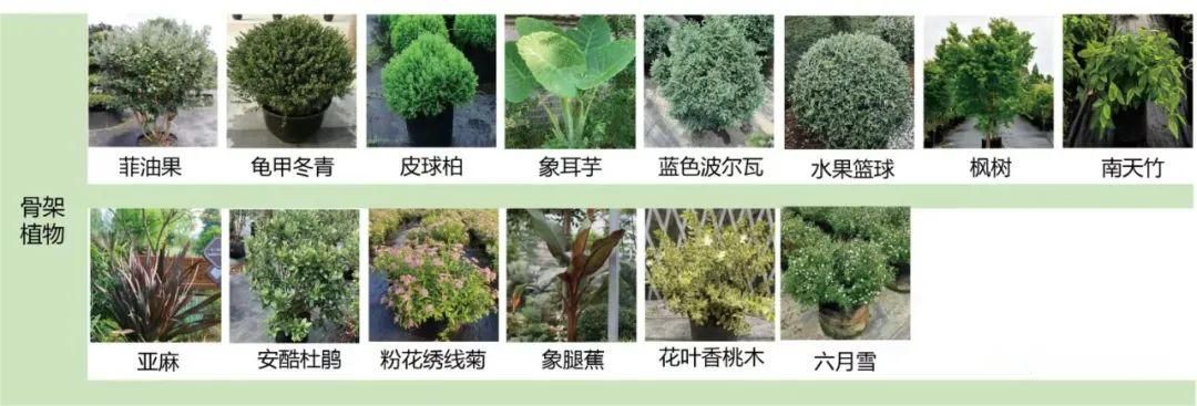 金地新乐里项目景观花境工程