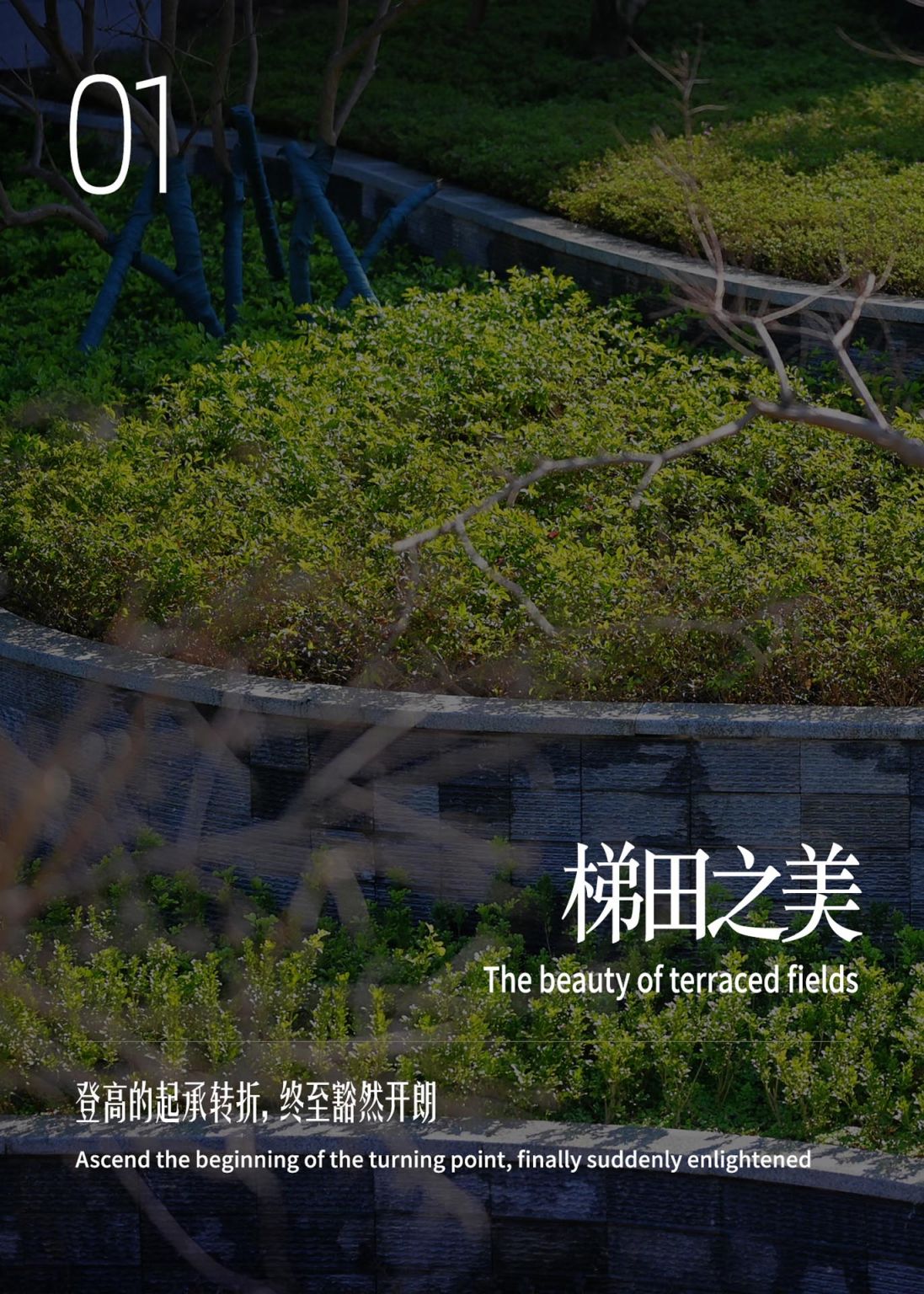 中新广州知识城中新智慧园