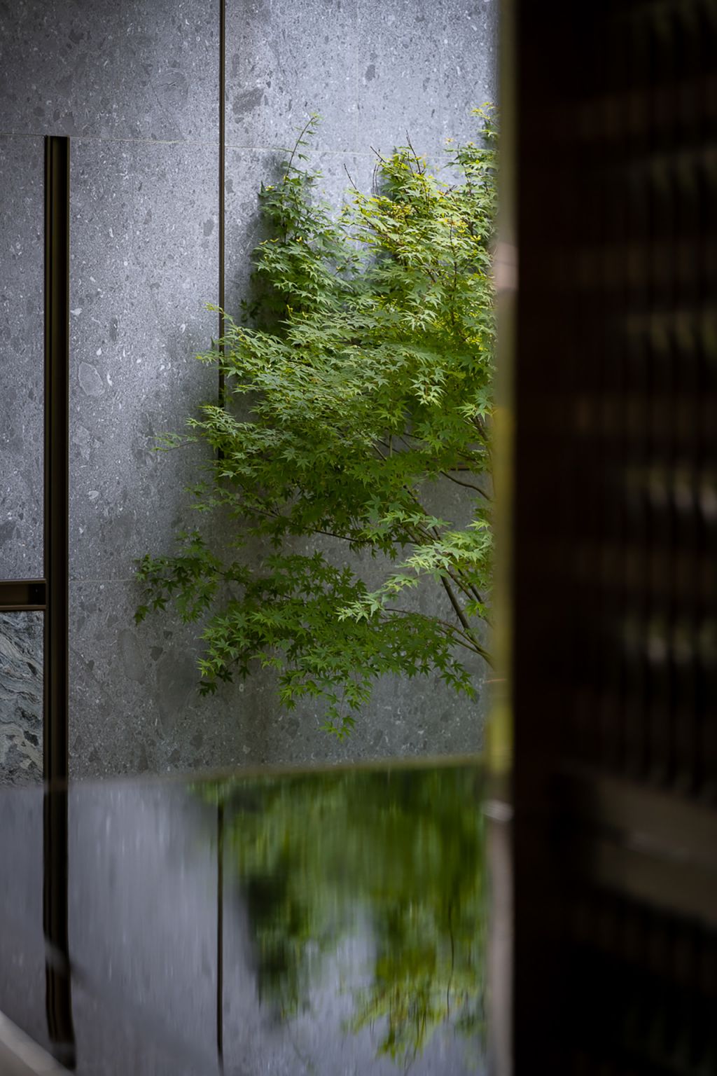 龙湖重庆熙上