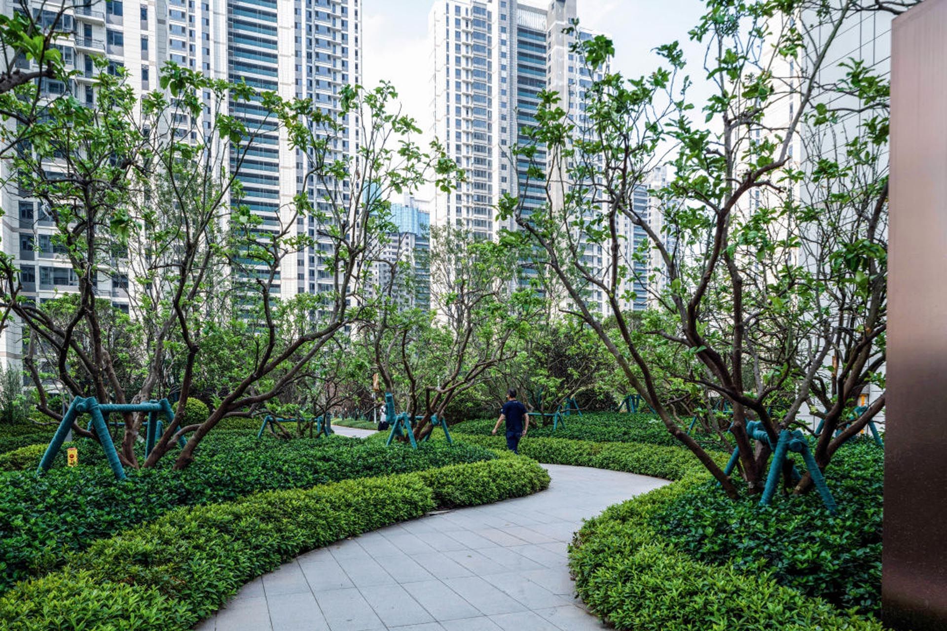 都市里的桃花源 | 常德保利时代