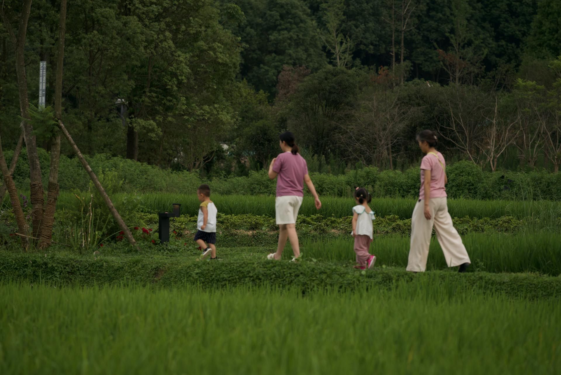 丘山阅·田园文化村