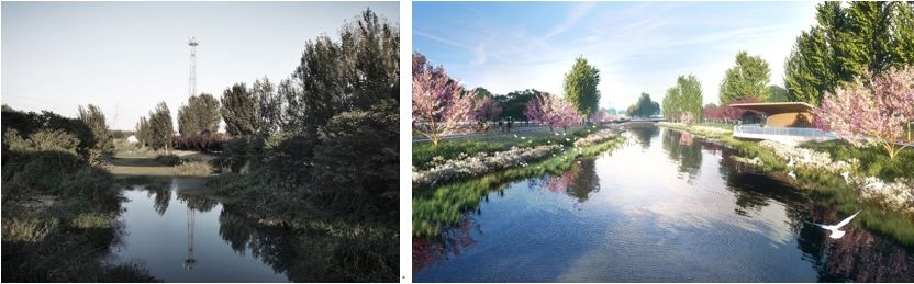济宁大运河国家文化公园（运河新城段）——河道综合治理工程