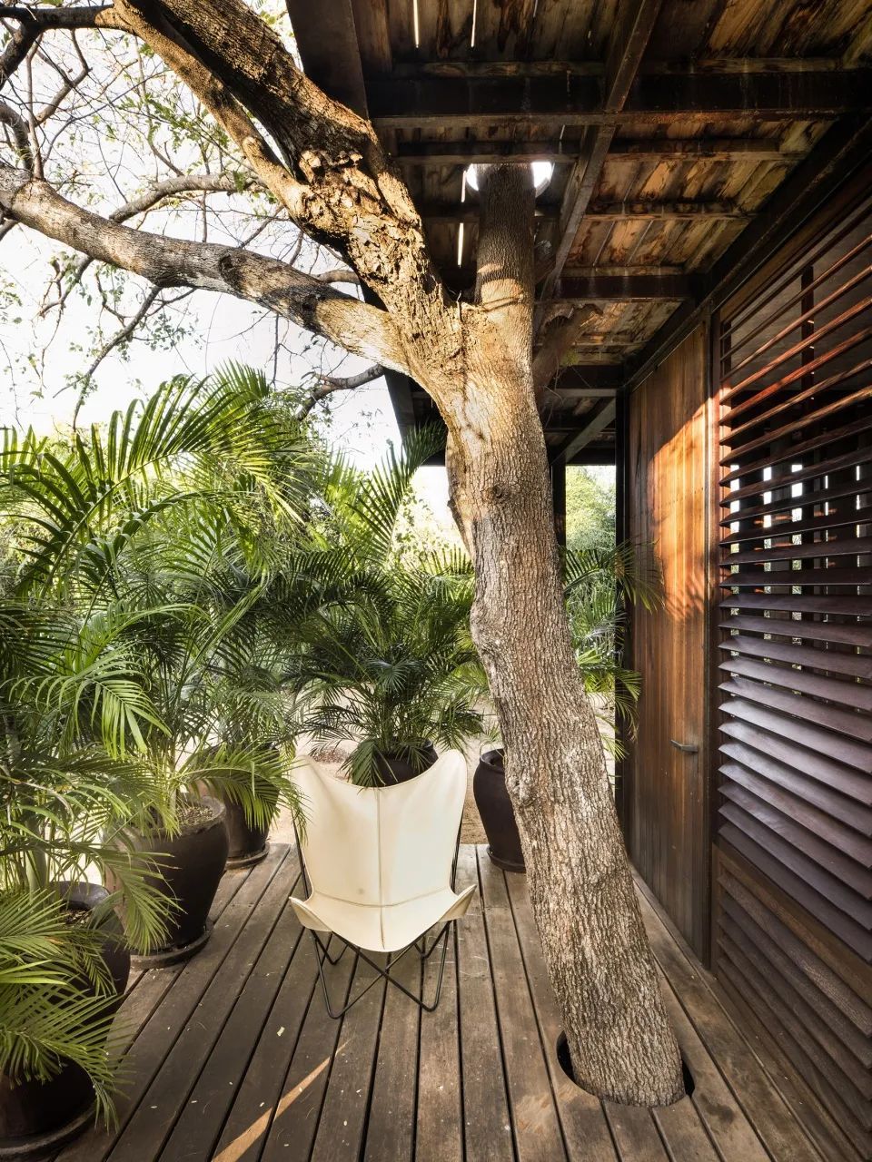 PAT. architetti associati | 猎鹰之家