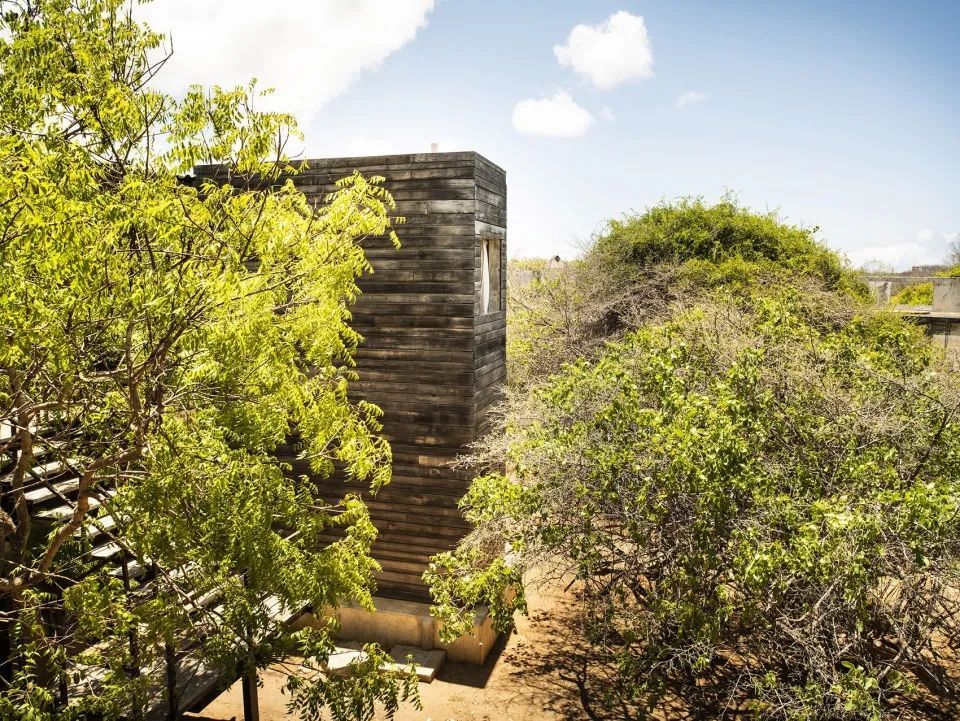 PAT. architetti associati | 猎鹰之家